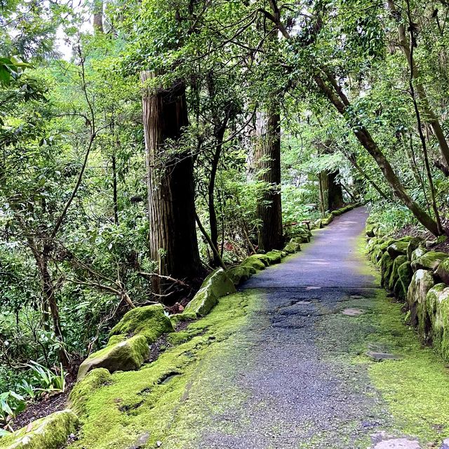 箱根神社の脇参道