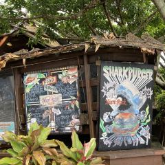 Heart Rock Cafe User Photo