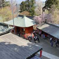 春の高尾山