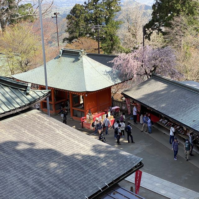 春の高尾山
