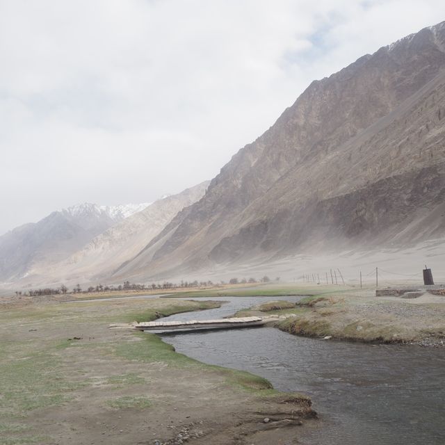 ขี่อูฐบนทะเลทราย@Leh Ladakn