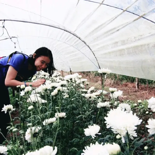 บ้านขุนกลาง จ.เชียงใหม่
