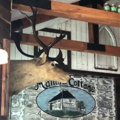 Mallard Cottage User Photo