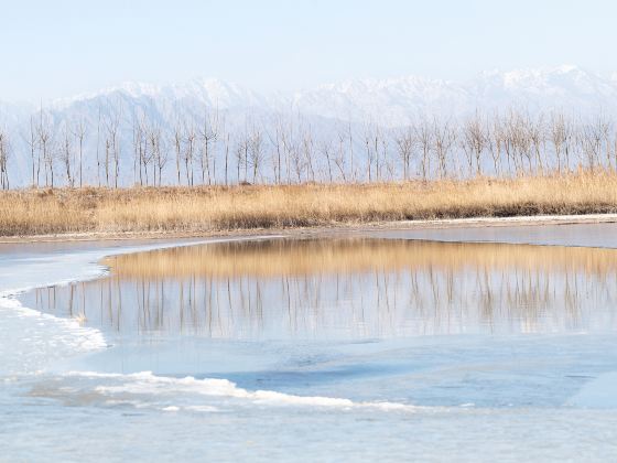 Yinchuan Mingcui National Wetland Park