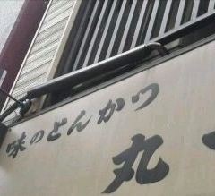 Tonkatsu Maruichi User Photo