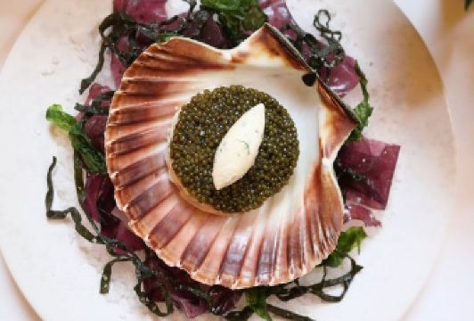 Galvin La Chapelle User Photo