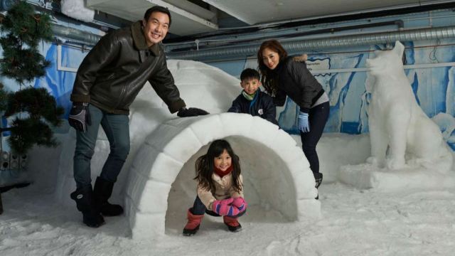 SingapoRediscovers Vouchers: Attractions for a Fun-filled Singapoliday