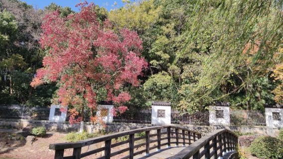 Jiangyin Binjiang Fortress Tourist Resort