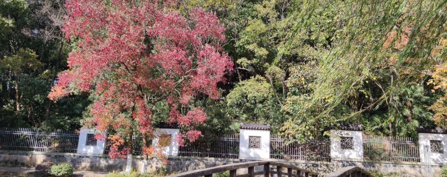 Binjiang Fortress