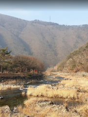 Soseonam Natural Forest