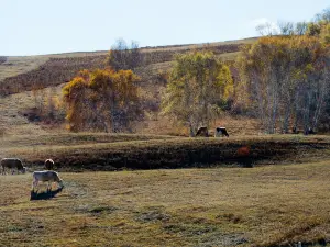 하다먼 고원 목장