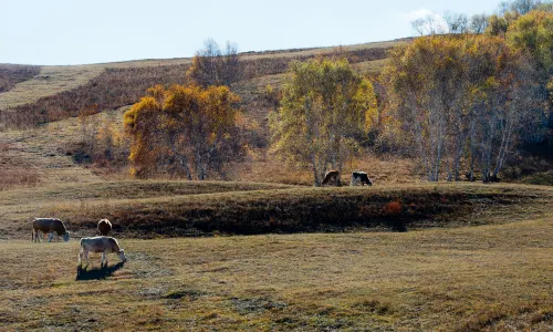 Hadamen Highlands Ranch