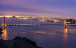 Cow Hollow
