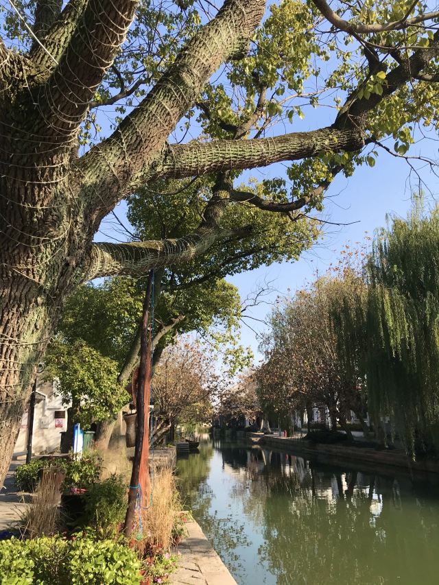 리리구전