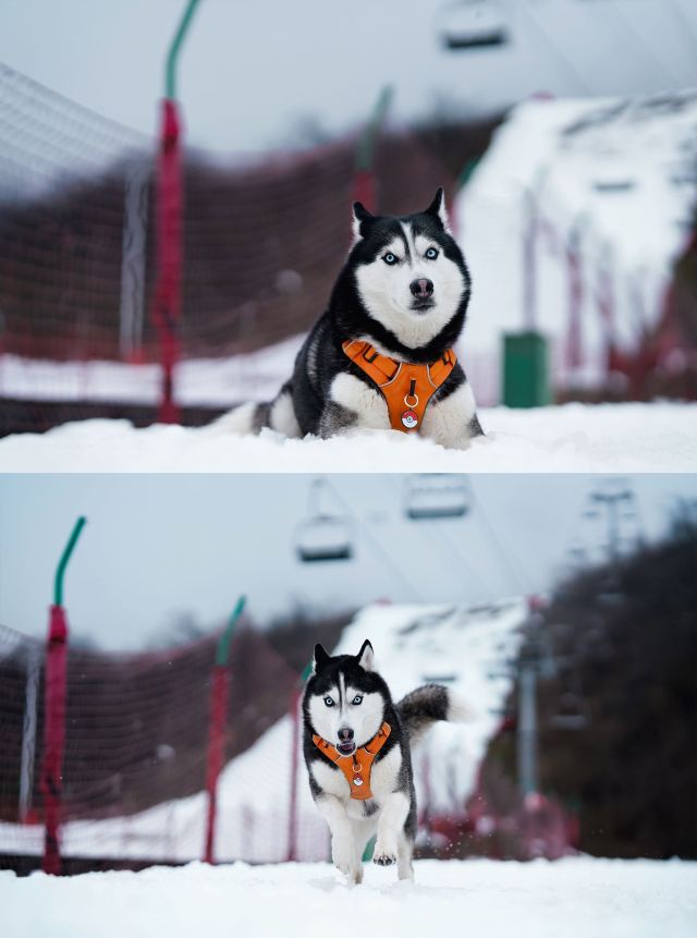 西嶺雪山