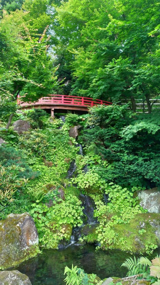 Fujita Memorial Japanese Garden