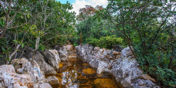Hanhua Tianmashan International Hot Spring Resort