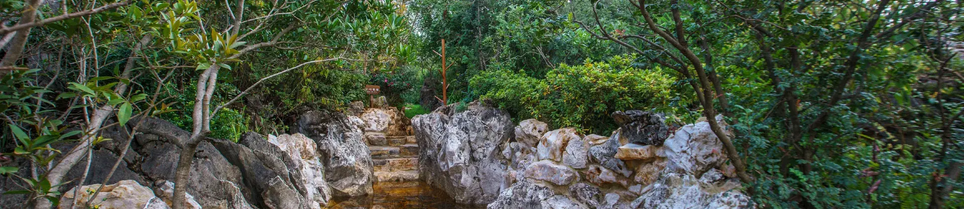 Hot Springs Attractions