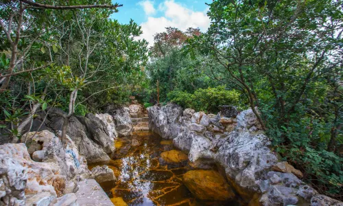 Hanhua Tianmashan International Hot Spring Resort