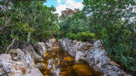 漢華天馬山國際温泉度假區