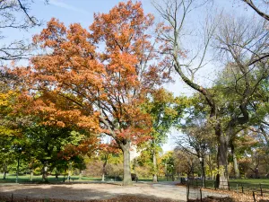 Büros Geschichtspark Ayutthaya