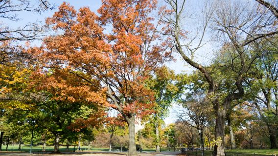アユタヤ歴史公園ワンデーツアー【プライベートツアー|専属ガイドサービス|こだわりの行程体験】