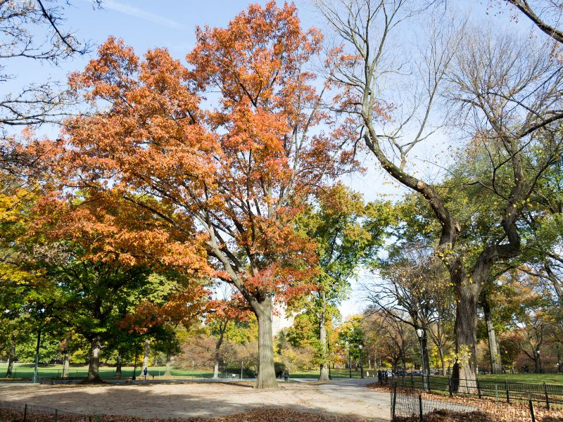 大城歷史公園