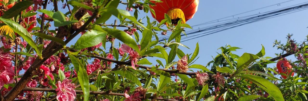 Shibawan Farm Family Resort