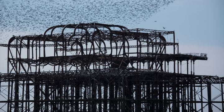 Brighton West Pier