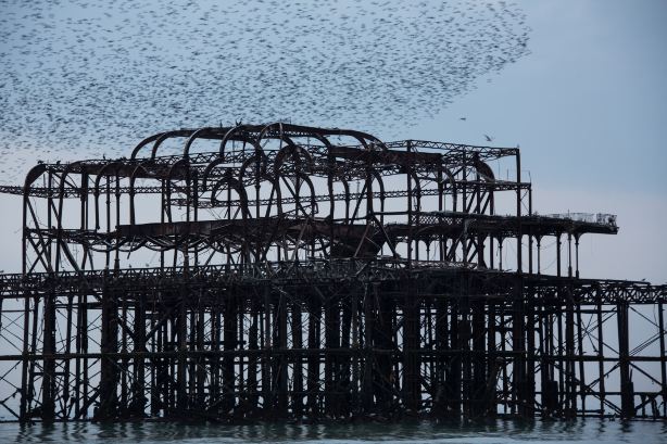 Brighton West Pier