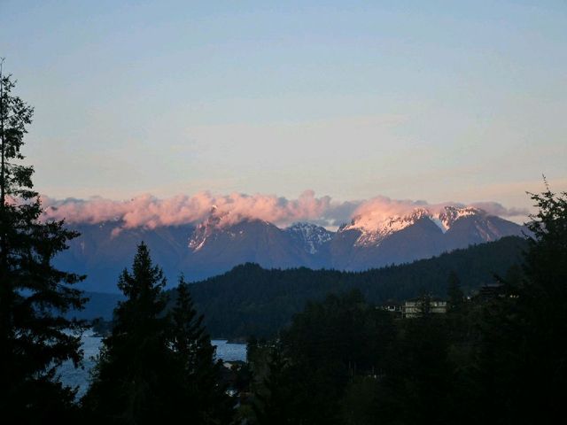 Sunshine Coast Paradise