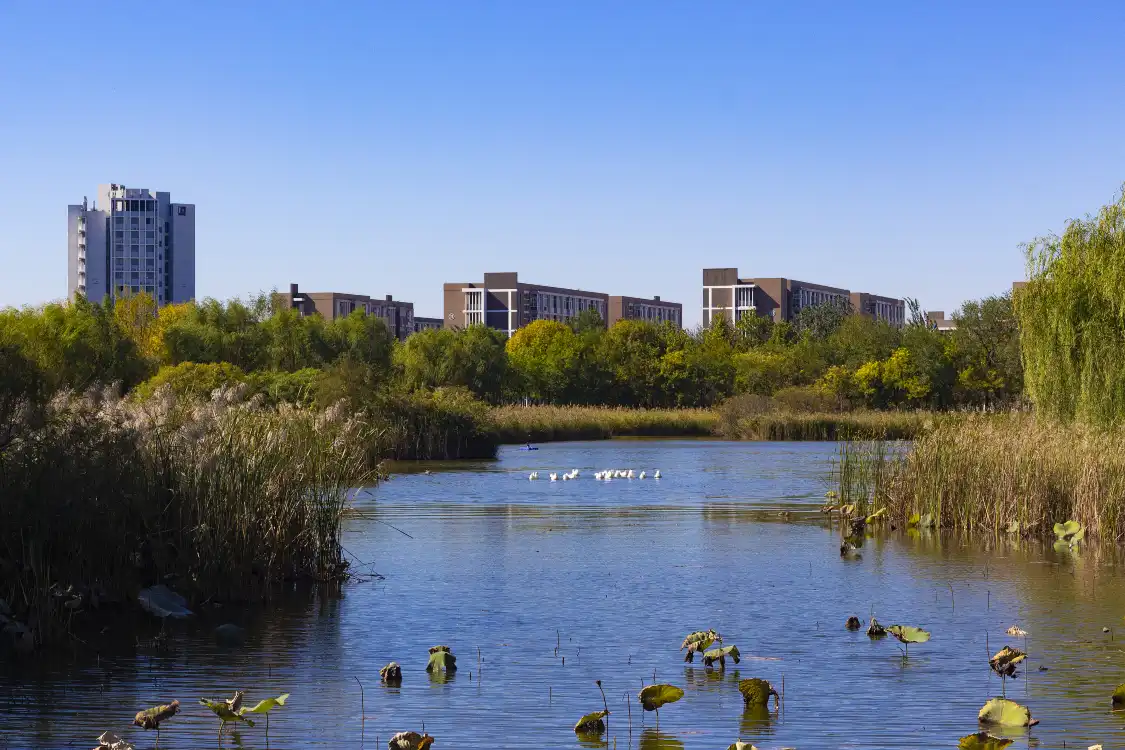 Hotels near Tianjin Normal University