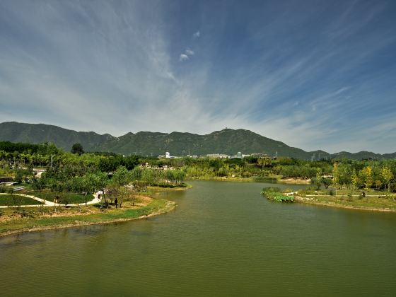 Longquanhu Wetland