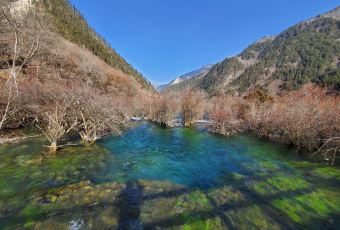 景区诺日朗餐厅 User Photo