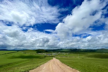 豆地煮生活菜馆(四道街店)