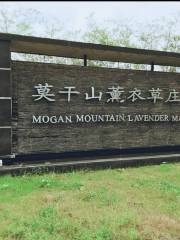 Moganshan Xunyicao Manor