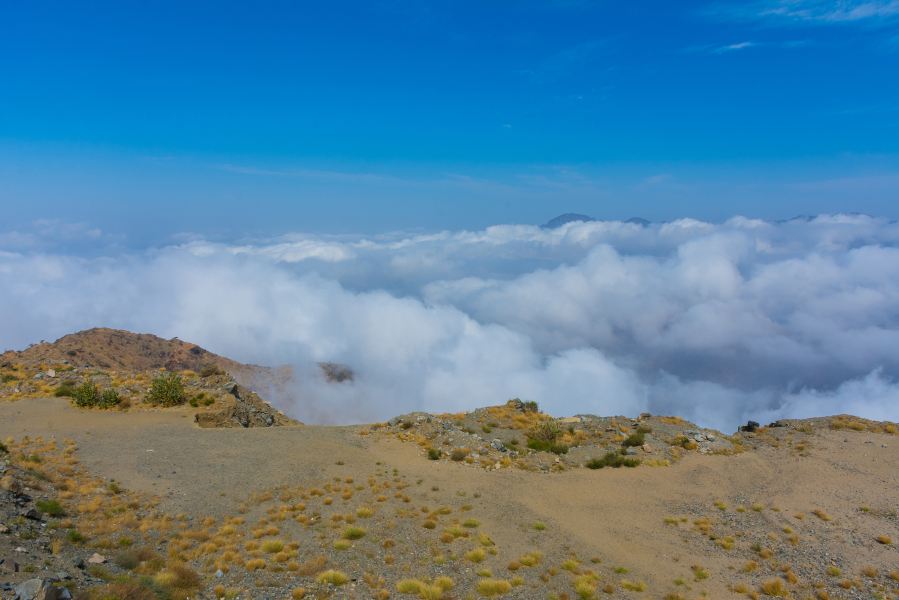 Flüge Quito Taif