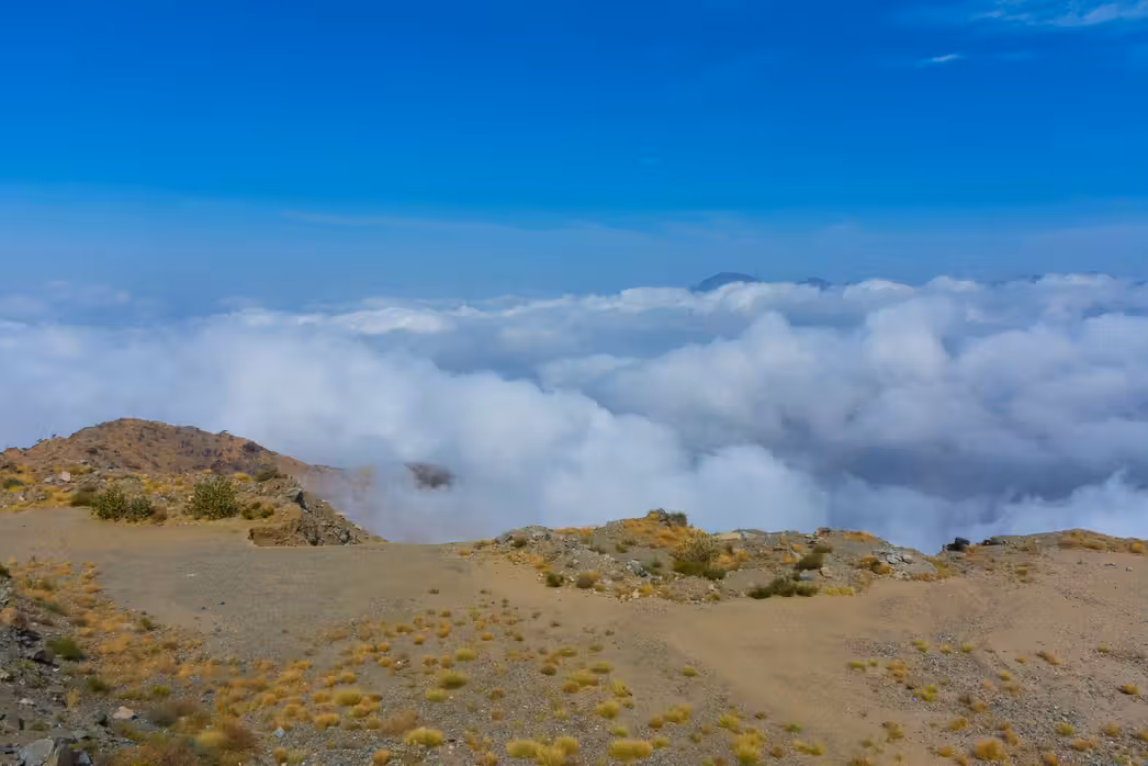 Flüge ${{cityDName}} Taif