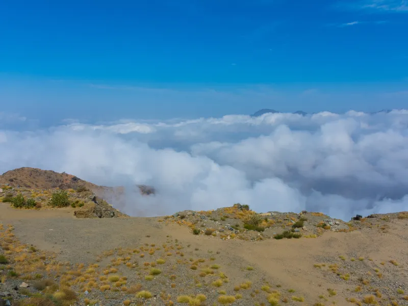 Taif