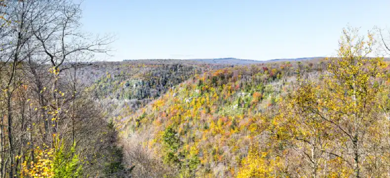 Pendleton County otelleri