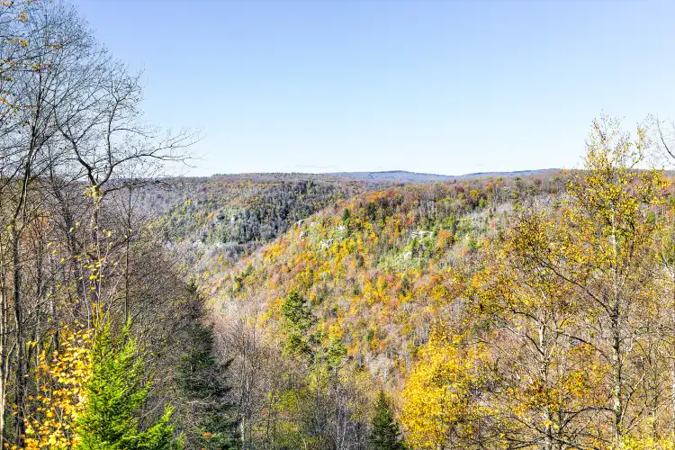 Hotels in Pendleton County