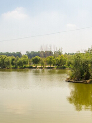 Binhai National Wetland Park