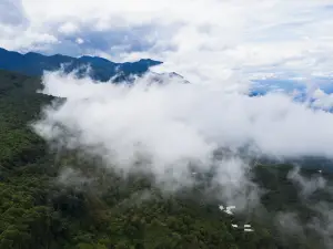Ailao Mountain Nature Reserve