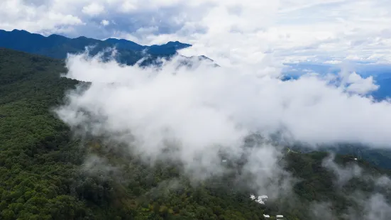 Ailao Mountain Nature Reserve