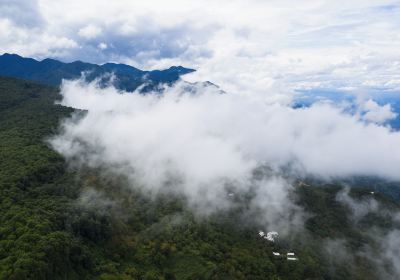 Ailao Mountain Nature Reserve