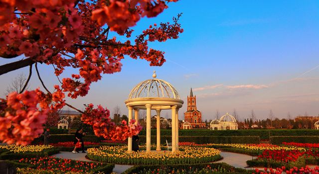 Love Flower Town of China