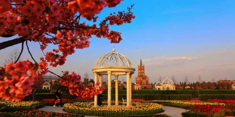 中國愛情花卉小鎮