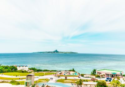 Okinawa Memorial Park – Ocean Expo Park