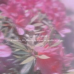 Xin Yuan Lou ảnh của người dùng