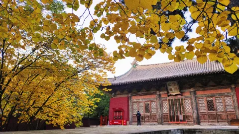 Yongle Palace attraction in Yuncheng